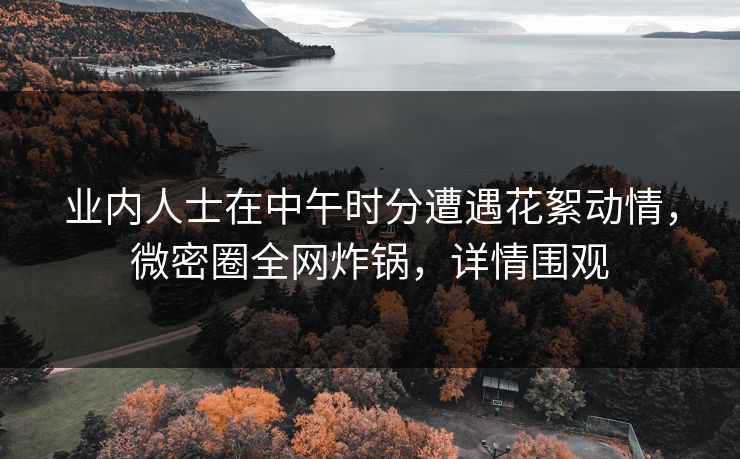 业内人士在中午时分遭遇花絮动情，微密圈全网炸锅，详情围观