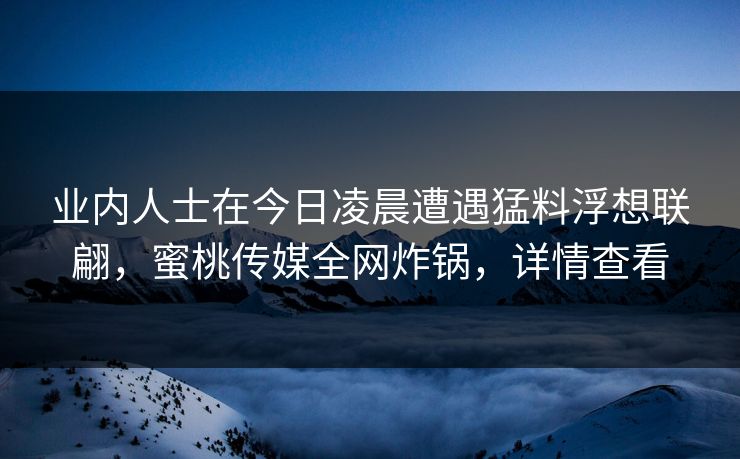 业内人士在今日凌晨遭遇猛料浮想联翩，蜜桃传媒全网炸锅，详情查看