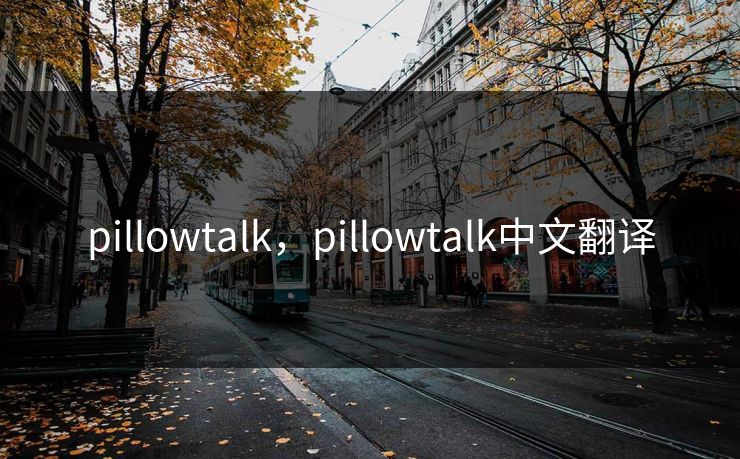 pillowtalk，pillowtalk中文翻译